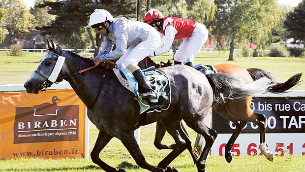 UAE jockey Al Subose wins IFAHR race in France