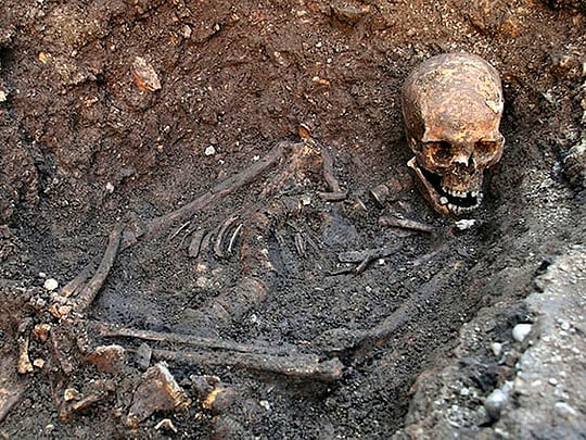 Affair may have broken British royal bloodline, DNA test shows