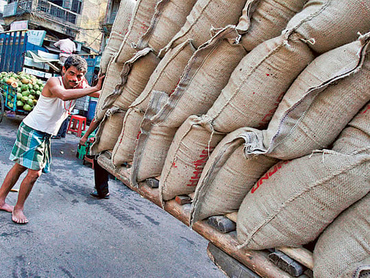 Race against time to save rice