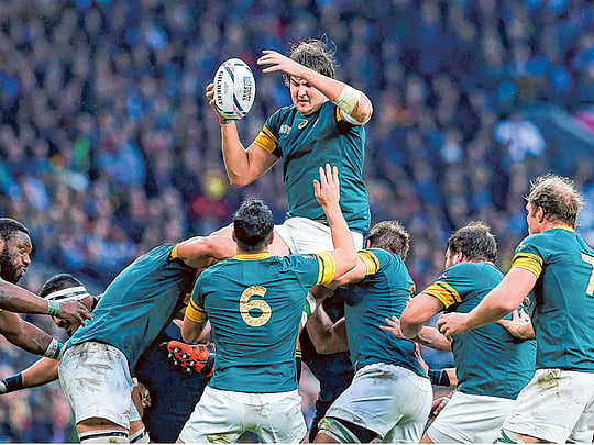 ‘Heyneke Meyer right to resign,” says former Springbok player Thinus ...