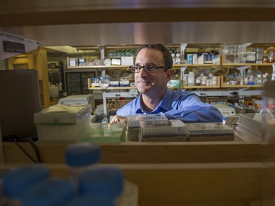 Tumours reveal novel genetic disruption in DNA