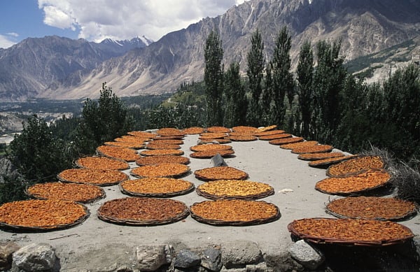 Hidden tastes of Pakistan's north