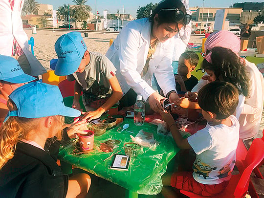 Soil conservation becomes heart of the matter in land of sand