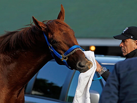 An orphaned colt looking to fulfil an impossible dream