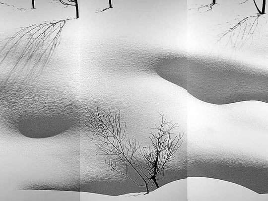 A tribute to Abbas Kiarostami