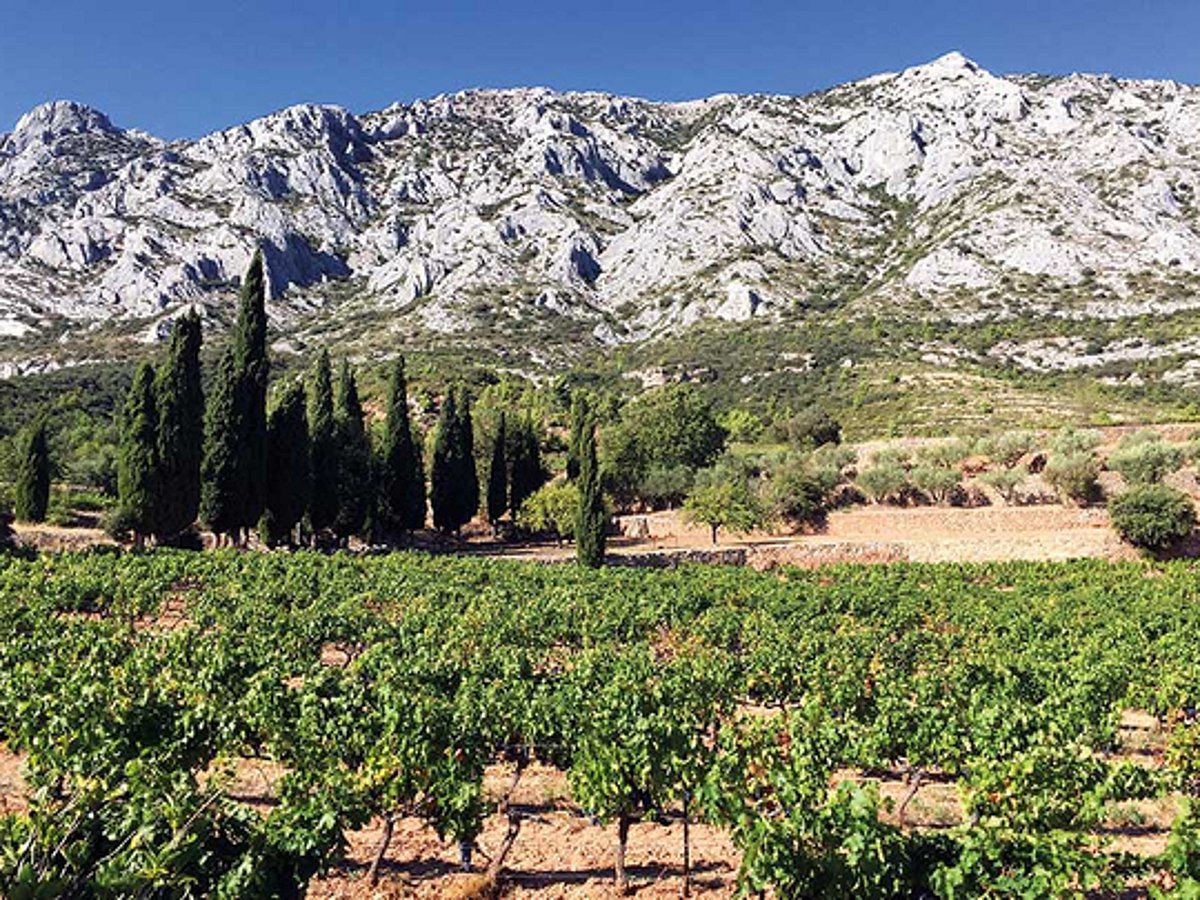 Provence In September Travel: Provence is perfect in the autumn