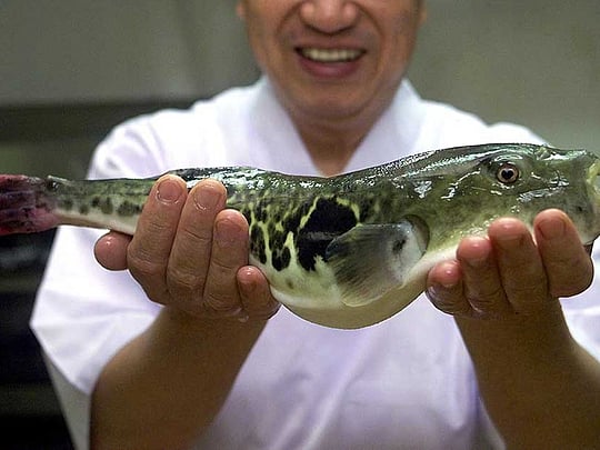 Deadly fugu fish flub prompts Japan emergency warning