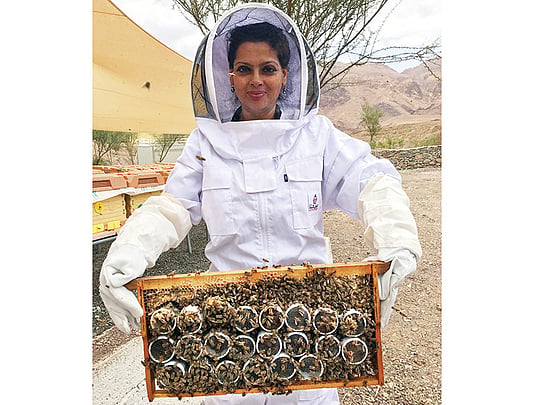 Inside region’s first queen bee rearing station