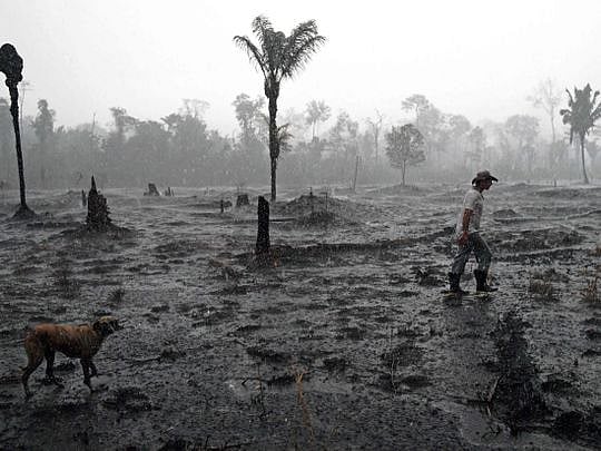 How Europe can save the Amazon