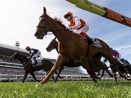 In Pictures: Melbourne Cup 2019