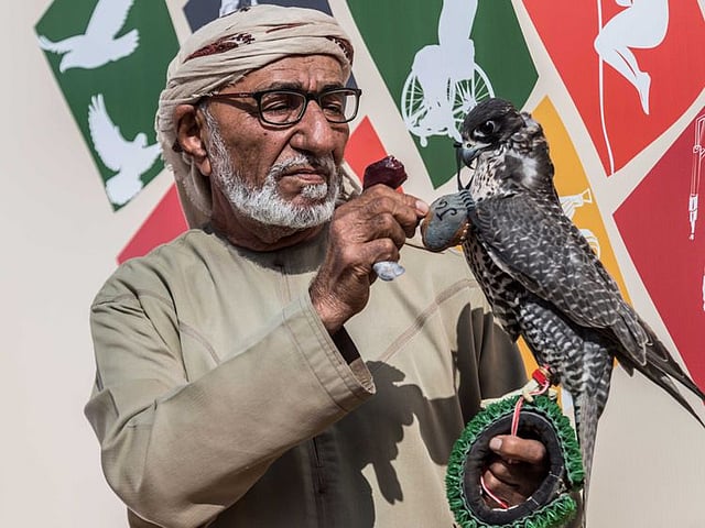 Oldest UAE falconer rules the roost at falconry racing