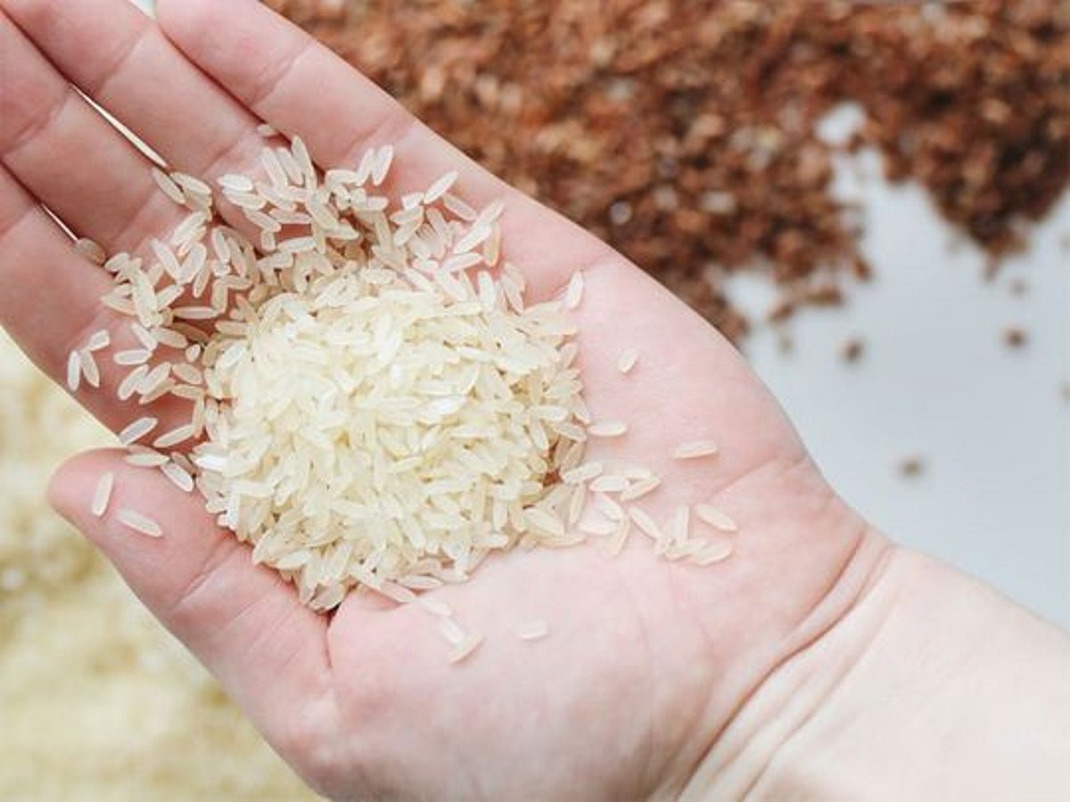 Less Rice Picture Coping with rice shortage: Can you live without rice? What are your ...