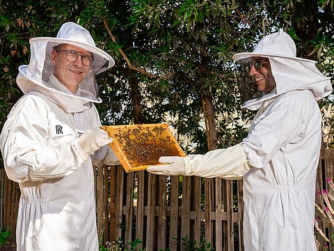Rolls-Royce apiary launched in Dubai with 6 beehives
