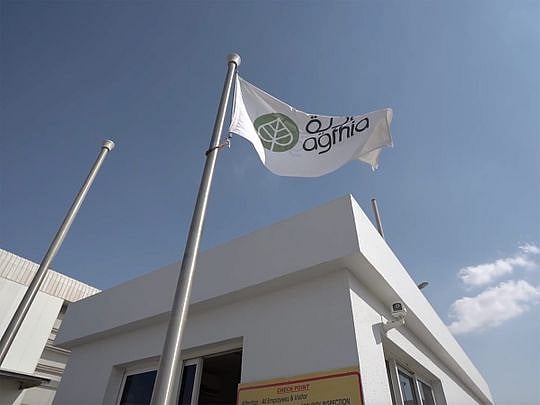 Agthia Group net revenue up 33% at Dh4 billion in 2022