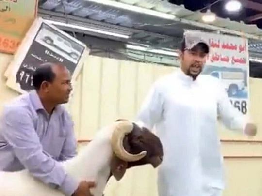 Sheep sells for a record $200,000 in Kuwait