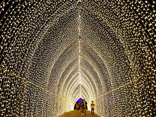 Lightscape: Art installation of light, colour and sound