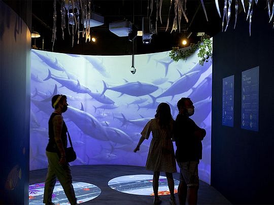 Expo 2020 Dubai to explore water conservation in final week