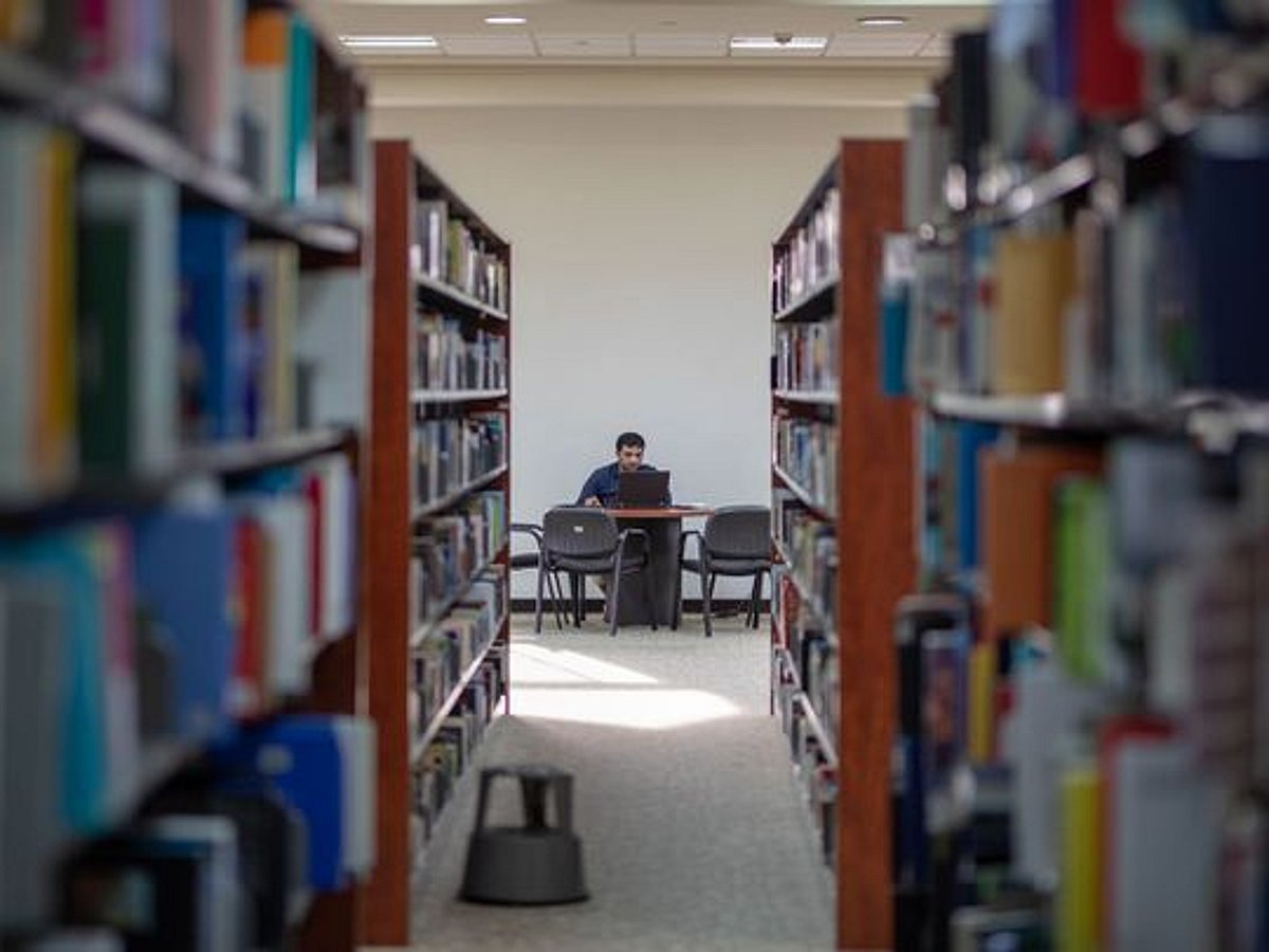 Physical Libraries 5 reasons why we still need physical libraries in the digital age