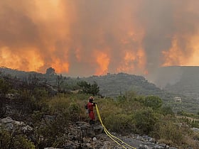 Spain declares national emergency in Madrid region over forest fires