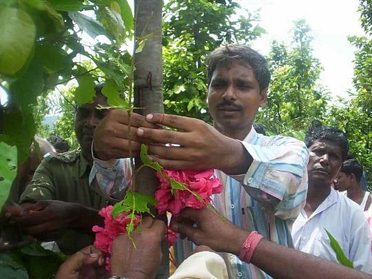 In tying a sacred thread, Indian villagers restore their forests