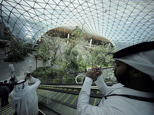 Look: Qatar unveils mini forest inside airport terminal ahead of FIFA ...
