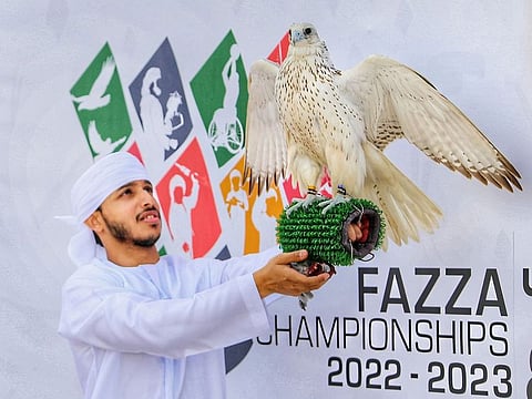3,000 birds, 700 falconers to compete in Dubai falcon racing with Dh23 ...