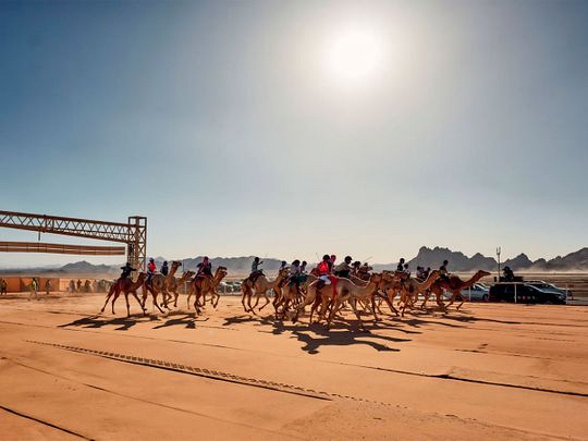Camel Racing In Chad The preservation of camel racing in Saudi Arabia is stronger than ever