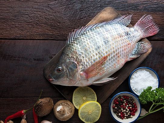 US woman loses all her limbs after eating undercooked tilapia fish