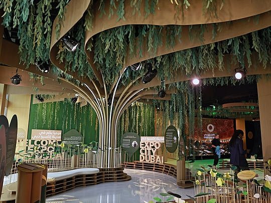 COP28: Ten things not to miss at Green Zone, Expo City Dubai