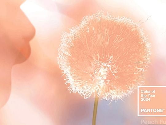 Pantone announces its 2024 colour of the year: Here is what it represents