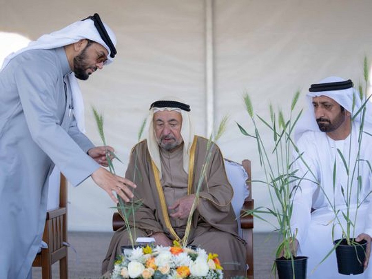 Waheed Shah Riar Farm Sharjah’s organic wheat farm in the desert enters second year, boosts ...