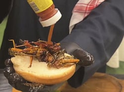 Locust-based dishes gaining popularity in Saudi Arabia