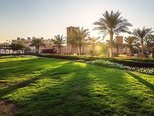 Saudi Arabia: Ground cleared for tree per baby