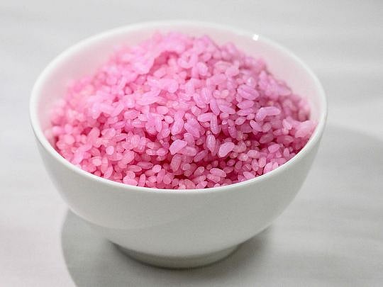 'Meaty rice'? South Korean professor aims to change global protein