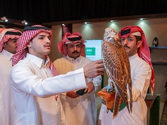 Falcon auction sales surpass $1.4m at the International Falcon Breeders ...