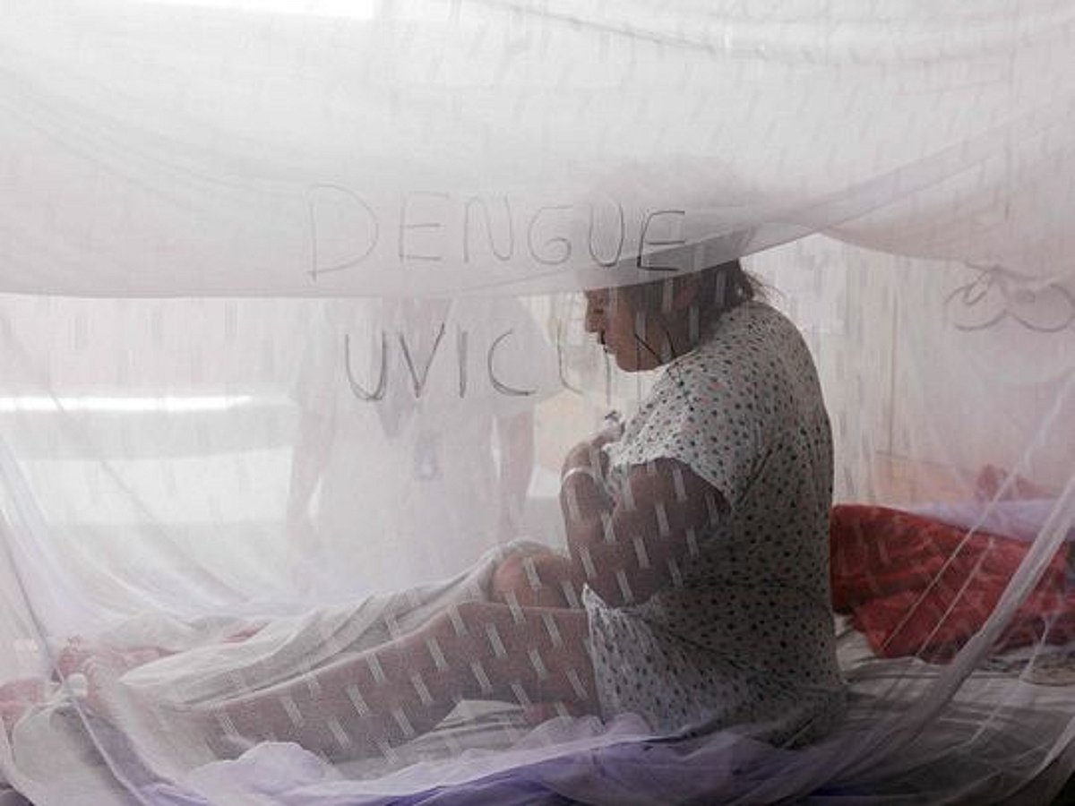 Off Track 'Virus hunters' track threats to head off next pandemic