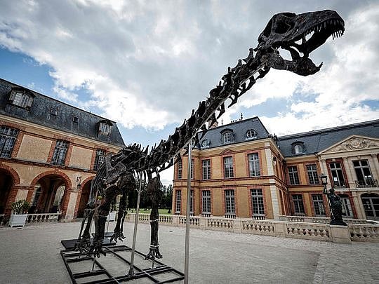 Dinosaur skeleton fetches 6 million euros in Paris sale