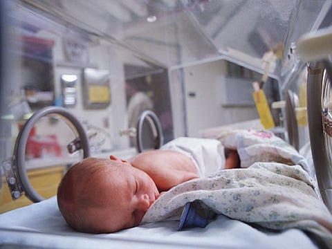 newborn in incubator