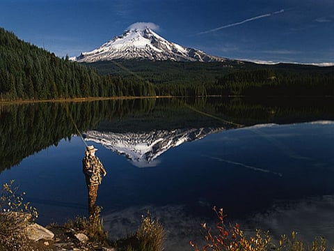 mountain view