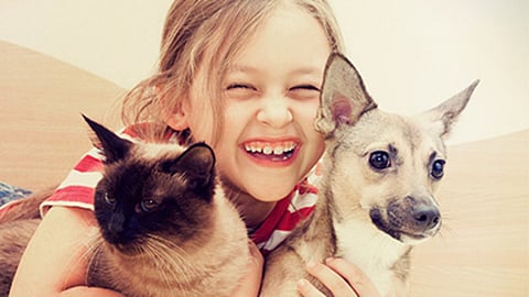 Según un estudio, las mascotas de casa podrían ayudar a prevenir las alergias alimentarias en los niños