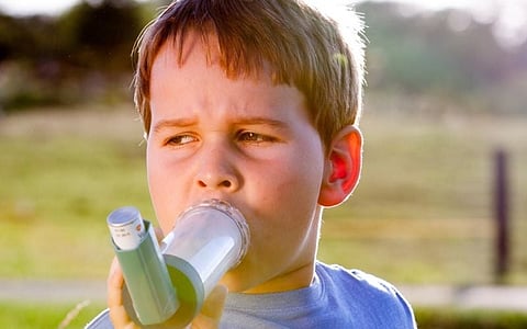 Air Pollution Linked to Increased Risk for Childhood Asthma