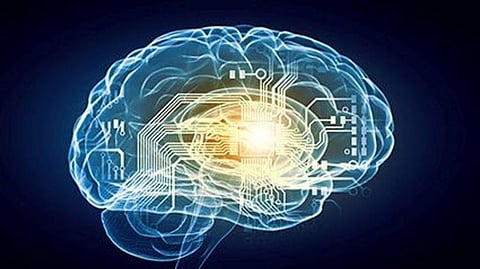 The Brain as Neural Connection