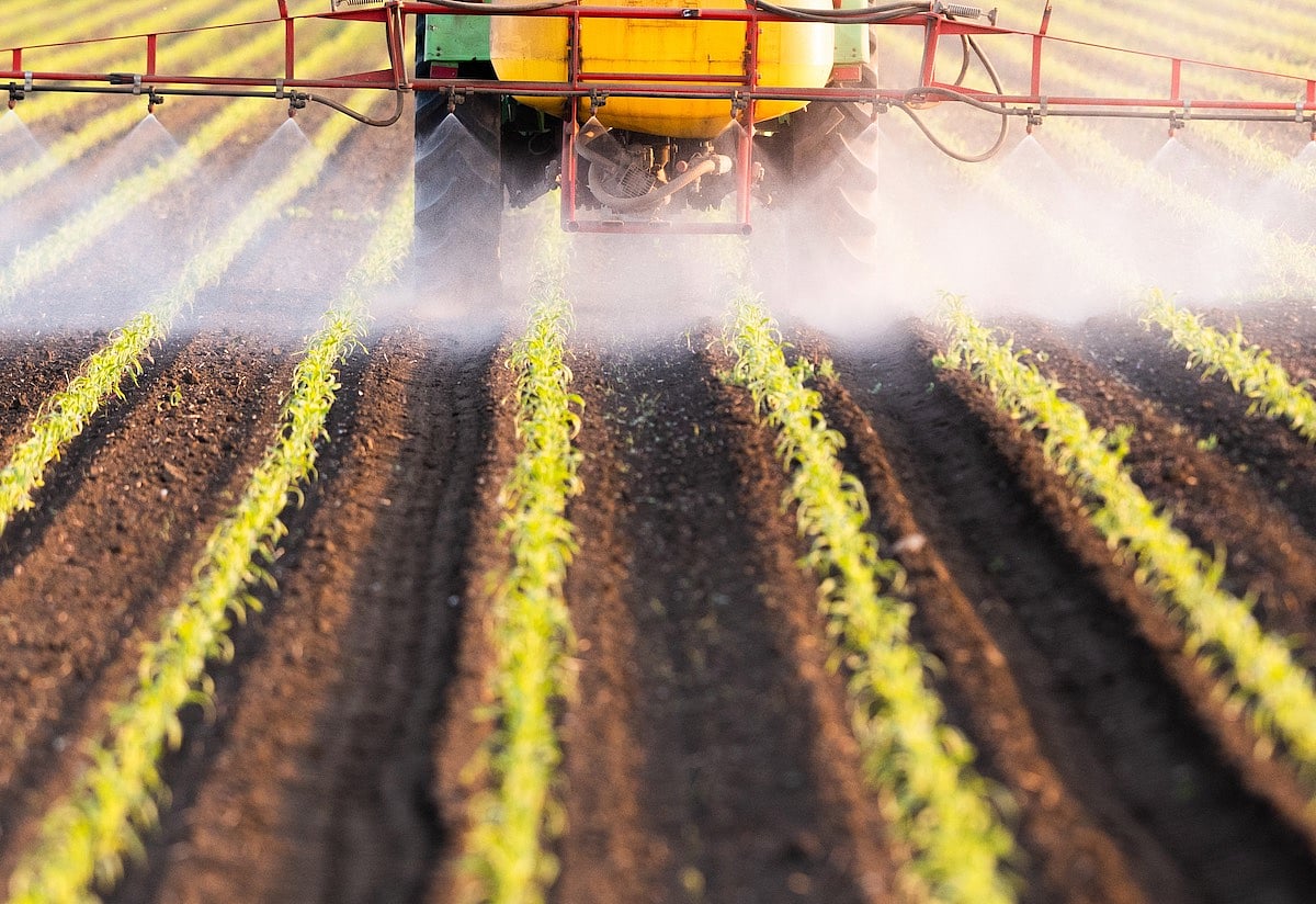 Los pesticidas pueden equivaler a fumar en el senderismo y los riesgos ...