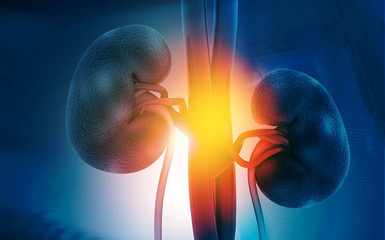 Study Finds GLP-1 Meds Help Can Also Help the Kidneys