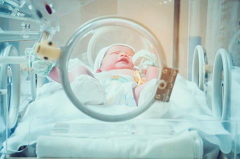 preemie premature newborn incubator