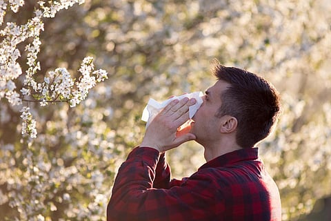 pollen allergy