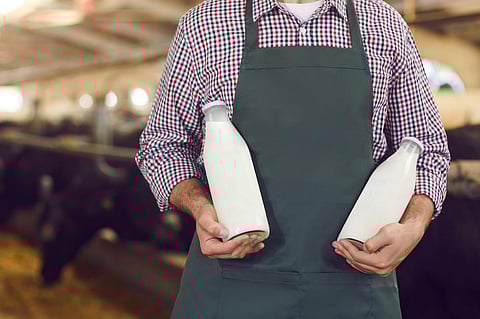 Cropped male farm worker holding mock-up glass bottles of fresh natural cow milk. Close-up of dairy business owner demonstrating organic milk and yoghurt manufactured on his farm