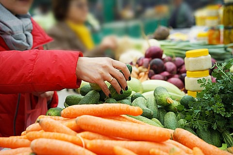 Sales of fresh and organic fruits and vegetables at the green market or farmers market. Citizens buyers choose and buy products for healthy food. female choosing the best cucumbers. lifestyle.