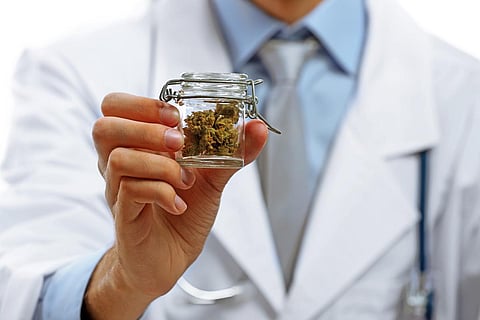 Doctor medical cannabis