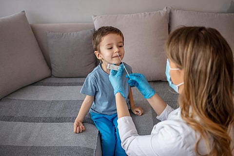 Boy sitting on sofa while going through PCR testing at home due to COVID-19 pandemic. Female doctor using cotton swab while PCR testing small boy at rapid COVID-19 test at home. 
